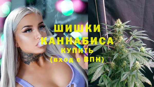 молекула духа Надым