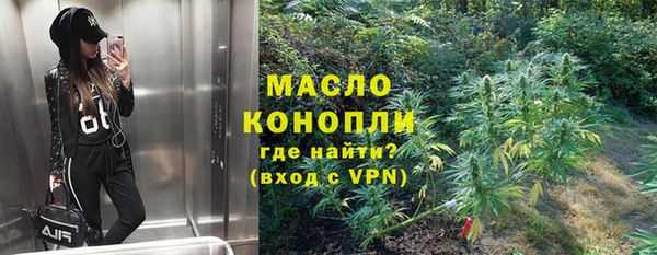 молекула духа Надым