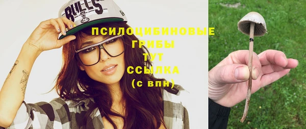 дурь Бежецк