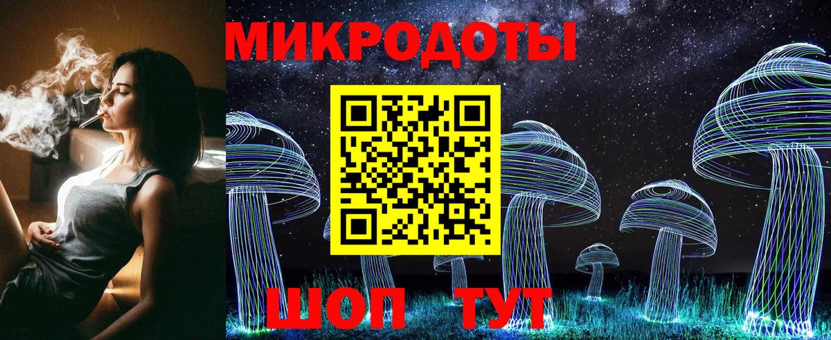 Галлюциногенные грибы Psilocybine cubensis  Вход с VPN  Галлюциногенные грибы Psilocybine cubensis  Красный Сулин 